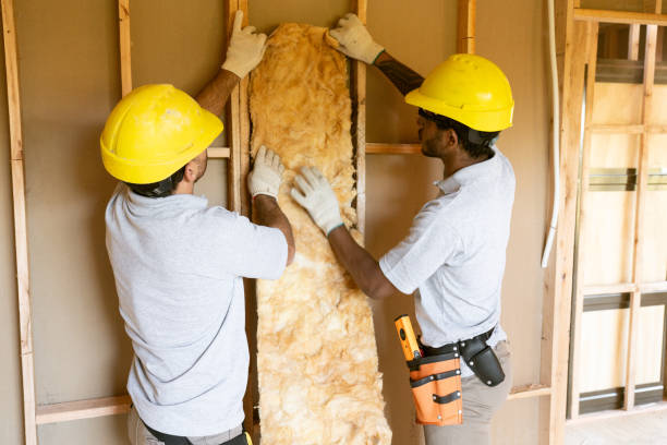 Types of Insulation We Offer in Malibu, CA